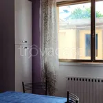 Rent 3 bedroom apartment of 55 m² in Camaiore