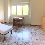 Rent 4 bedroom apartment of 100 m² in L'Aquila