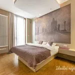 Rent 2 bedroom apartment of 54 m² in Praha 1