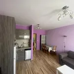 Rent 3 bedroom apartment of 70 m² in Каменица 1