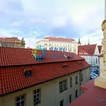 Rent 4 bedroom apartment of 137 m² in Prague