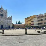 Rent 1 bedroom apartment of 60 m² in florence