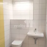 Rent 1 bedroom apartment of 42 m² in Brno