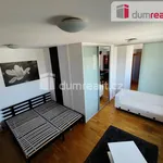 Rent 1 bedroom apartment of 36 m² in Capital City of Prague