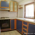 Rent 2 bedroom apartment of 50 m² in Macerata