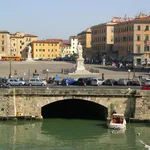 Rent 1 bedroom apartment in Livorno