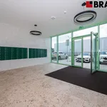 Pronajměte si 2 ložnic/e byt o rozloze 37 m² v Brno