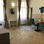 Rent 1 bedroom apartment of 38 m² in Prague