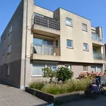 Rent 1 bedroom apartment in Turnhout