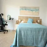 Rent a room in valencia