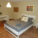 Rent a room of 100 m² in cordoba