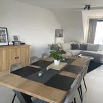 Rent 2 bedroom apartment in Kruisem