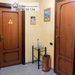 Rent 2 bedroom apartment of 61 m² in Nettuno