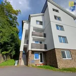 Rent 1 bedroom apartment of 27 m² in Železná Ruda