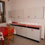 Rent 3 bedroom apartment of 57 m² in Bologna