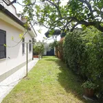 Rent 3 bedroom house of 85 m² in Roma