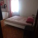 Rent 2 bedroom house of 65 m² in Bologna