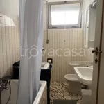 Rent 3 bedroom apartment of 60 m² in Pisa