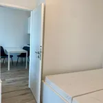 Rent 2 bedroom apartment in Hradec Králové