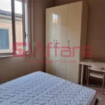 Rent 1 bedroom apartment of 20 m² in Pontedera