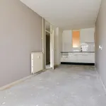 Huur 1 slaapkamer appartement van 50 m² in Sliedrecht