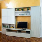 Rent 3 bedroom apartment of 61 m² in Bologna