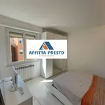 Affitto 3 camera appartamento di 70 m² in Pisa