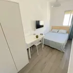 Rent a room in seville