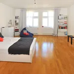 Rent 4 bedroom apartment of 105 m² in Prague