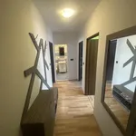 Rent 3 bedroom apartment of 70 m² in Каменица 1