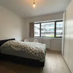 Rent 2 bedroom apartment in EDEGEM