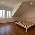 Rent 1 bedroom apartment in Cambridge