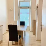 Rent 2 bedroom apartment of 26 m² in Brno