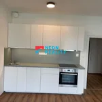 Rent 1 bedroom apartment of 31 m² in Frýdlant nad Ostravicí