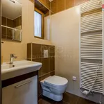 Rent 1 bedroom house of 120 m² in Radějovice