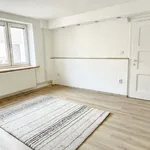 Rent 1 bedroom apartment of 102 m² in Troubsko