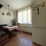 Pronajměte si 4 ložnic/e byt o rozloze 58 m² v Prague