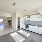 Rent 4 bedroom apartment of 122 m² in Budapest