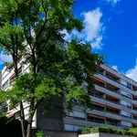 Rent 1 bedroom apartment of 32 m² in Neuchâtel