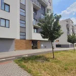 Rent 2 bedroom apartment of 44 m² in Plzeň