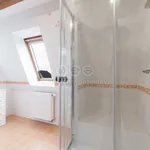 Rent 3 bedroom apartment of 81 m² in Plzeň