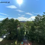 Rent 3 bedroom apartment of 77 m² in Niederösterreich