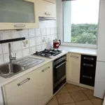 Rent 3 bedroom apartment of 48 m² in Szczecin