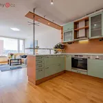 Rent 4 bedroom apartment of 102 m² in Praha