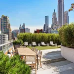 Rent 1 bedroom apartment of 58 m² in New York