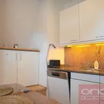 Rent 6 bedroom apartment of 64 m² in Capital City of Prague