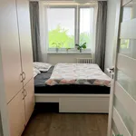 Rent 2 bedroom apartment in Nymburk