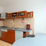 Pronajměte si 1 ložnic/e byt o rozloze 44 m² v Prague