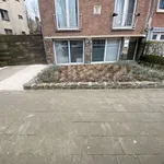 Rent 1 bedroom apartment in brussels