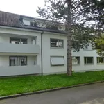 Wohnen im Grünen - grosszügige 4.5-Zimmerwohnung in Riehen